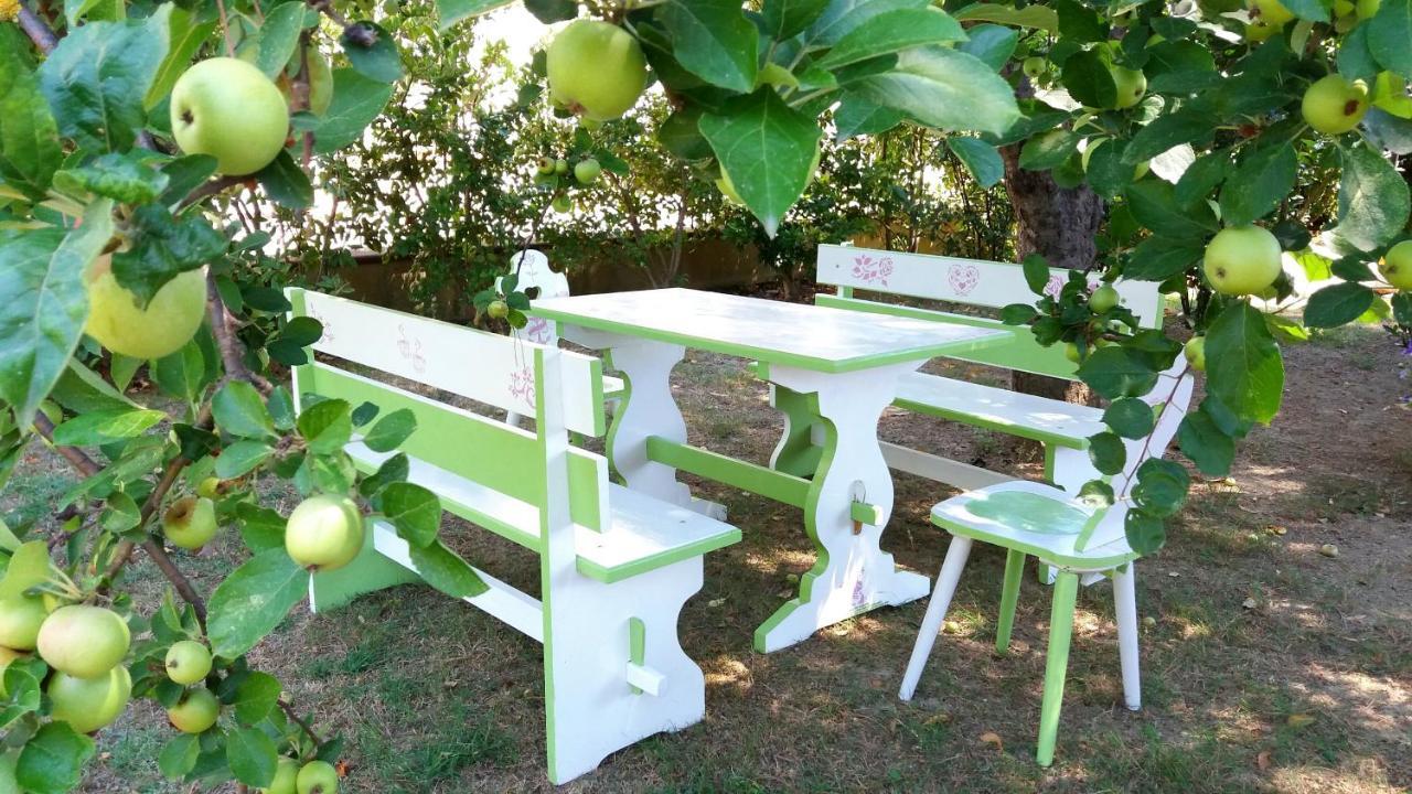 Villa Bruna チェゼナーティコ エクステリア 写真